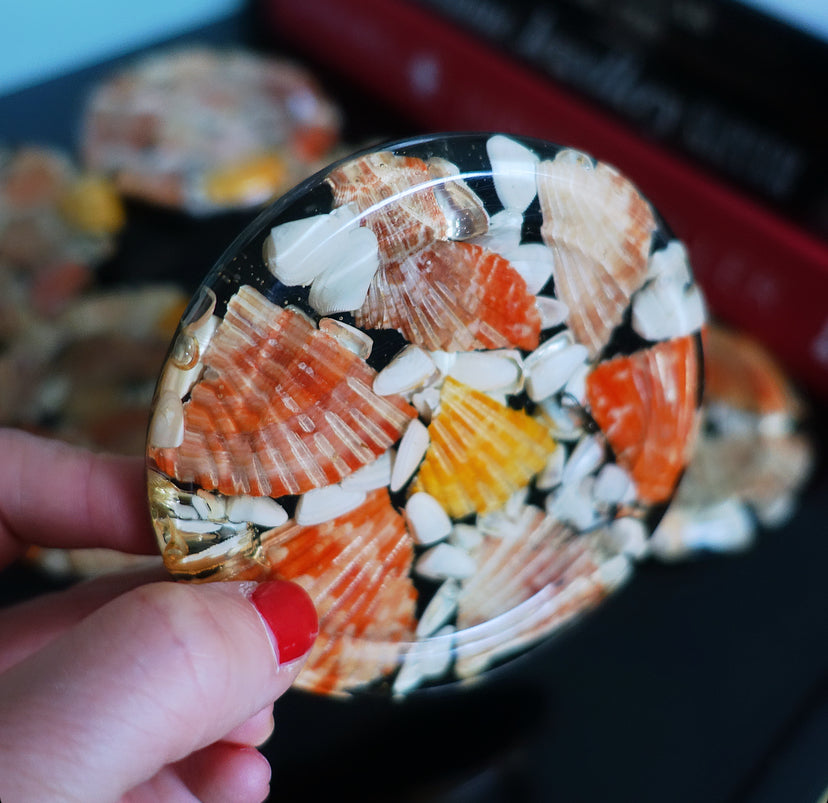 Set of six shell & lucite coasters