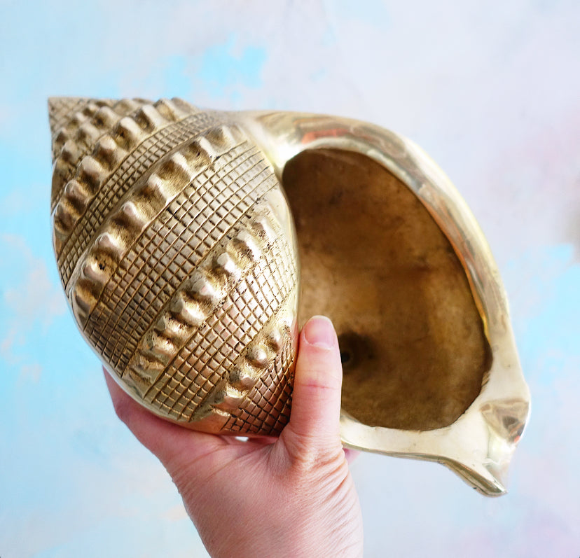 Large brass conch shell