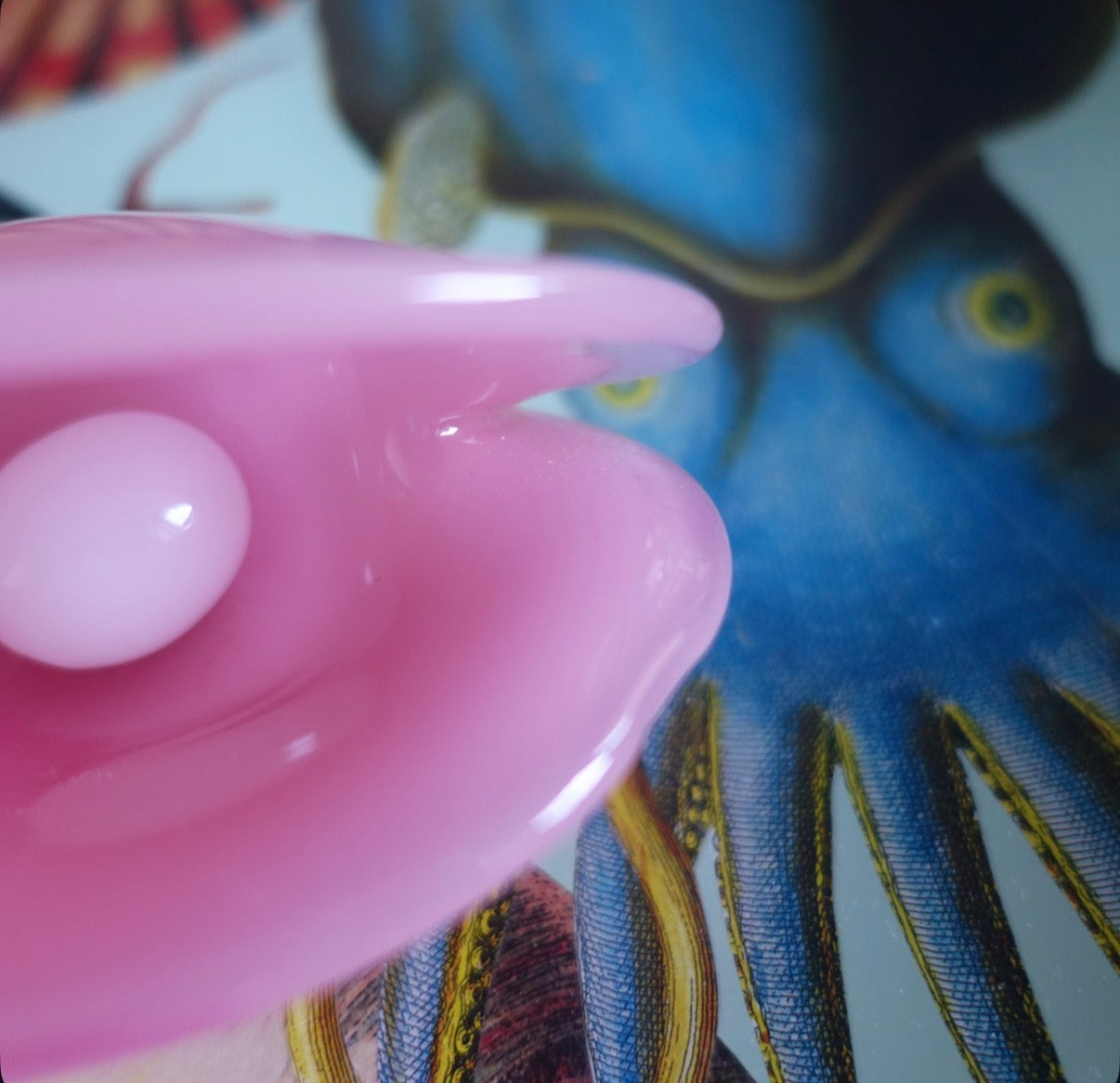 Murano glass clam shell with pearl