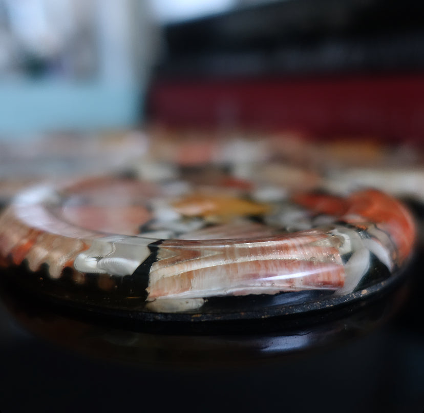 Set of six shell & lucite coasters