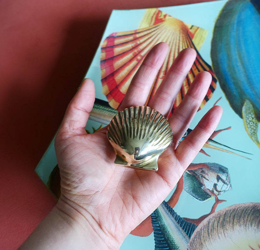 Small brass clam shell paperweight