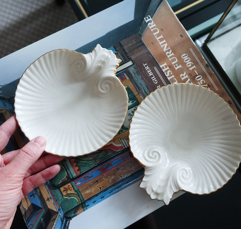Pair of scallop shell dishes