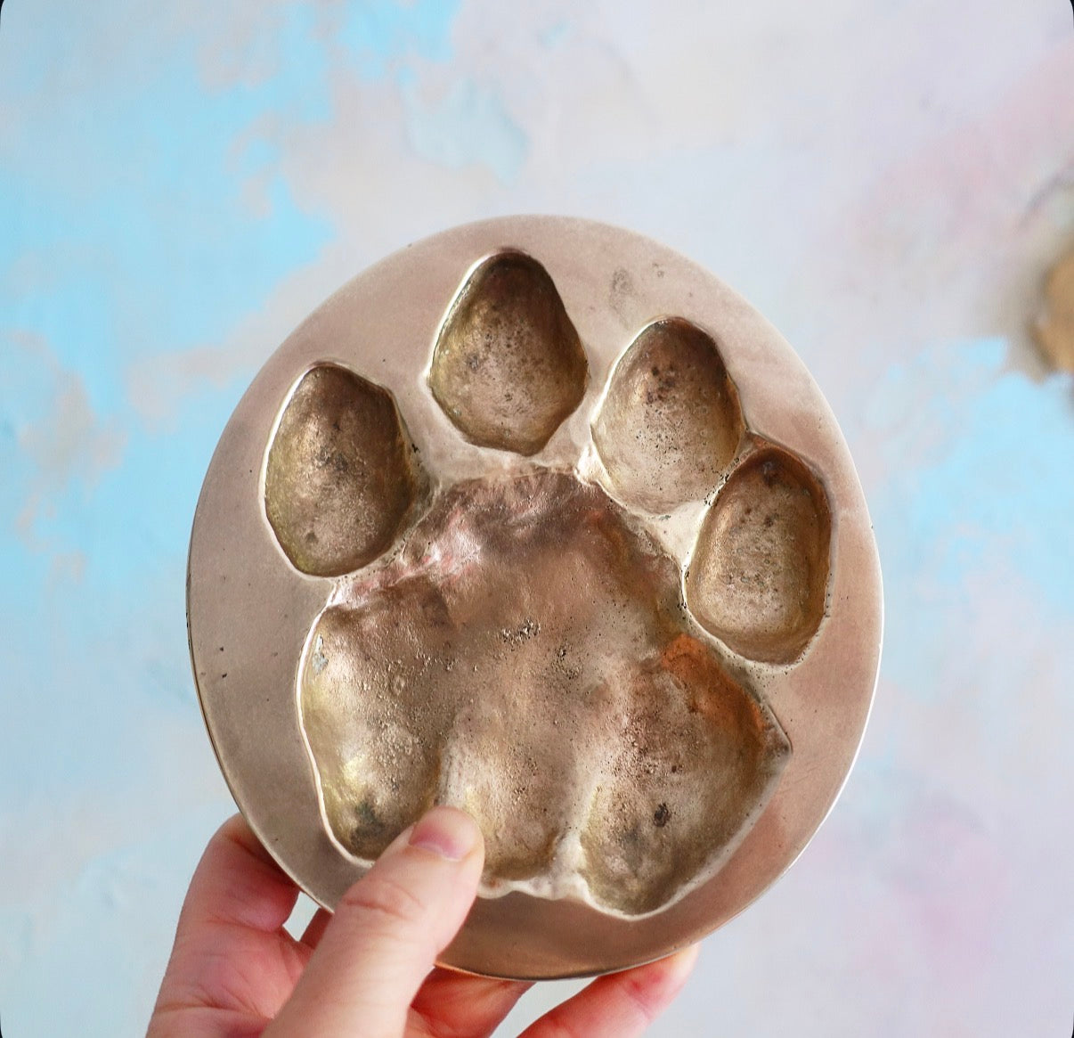 Brass cast lion paw