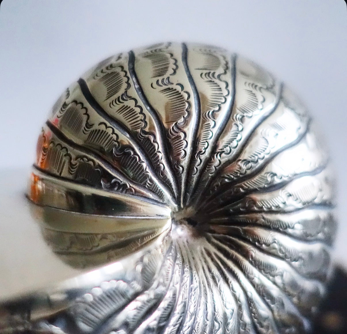 Brass nautilus shell