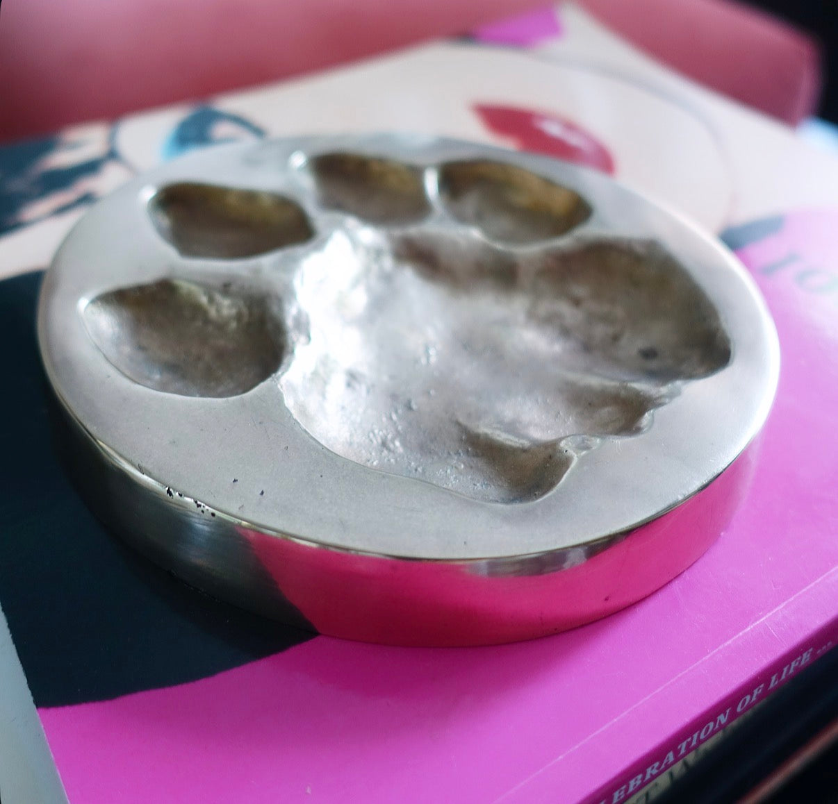 Brass cast lion paw