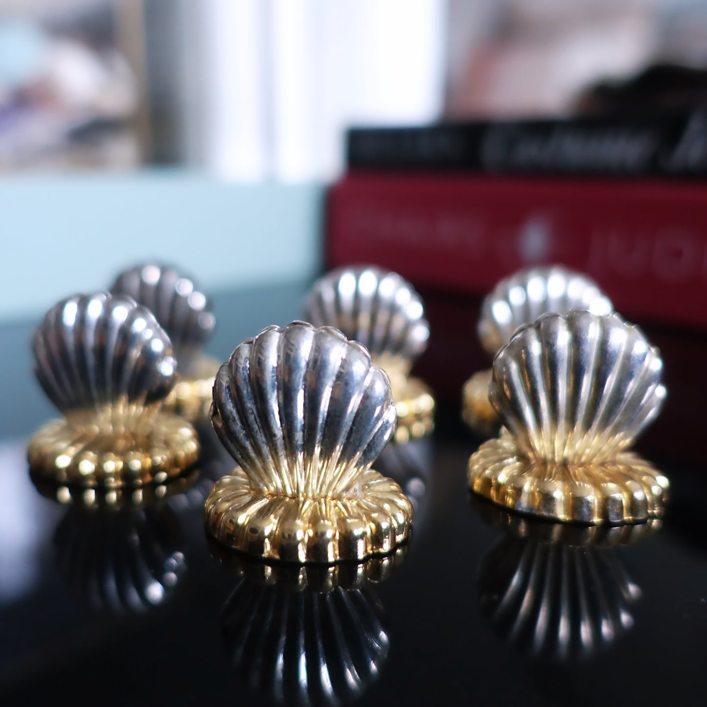 Set of six shell place card holders