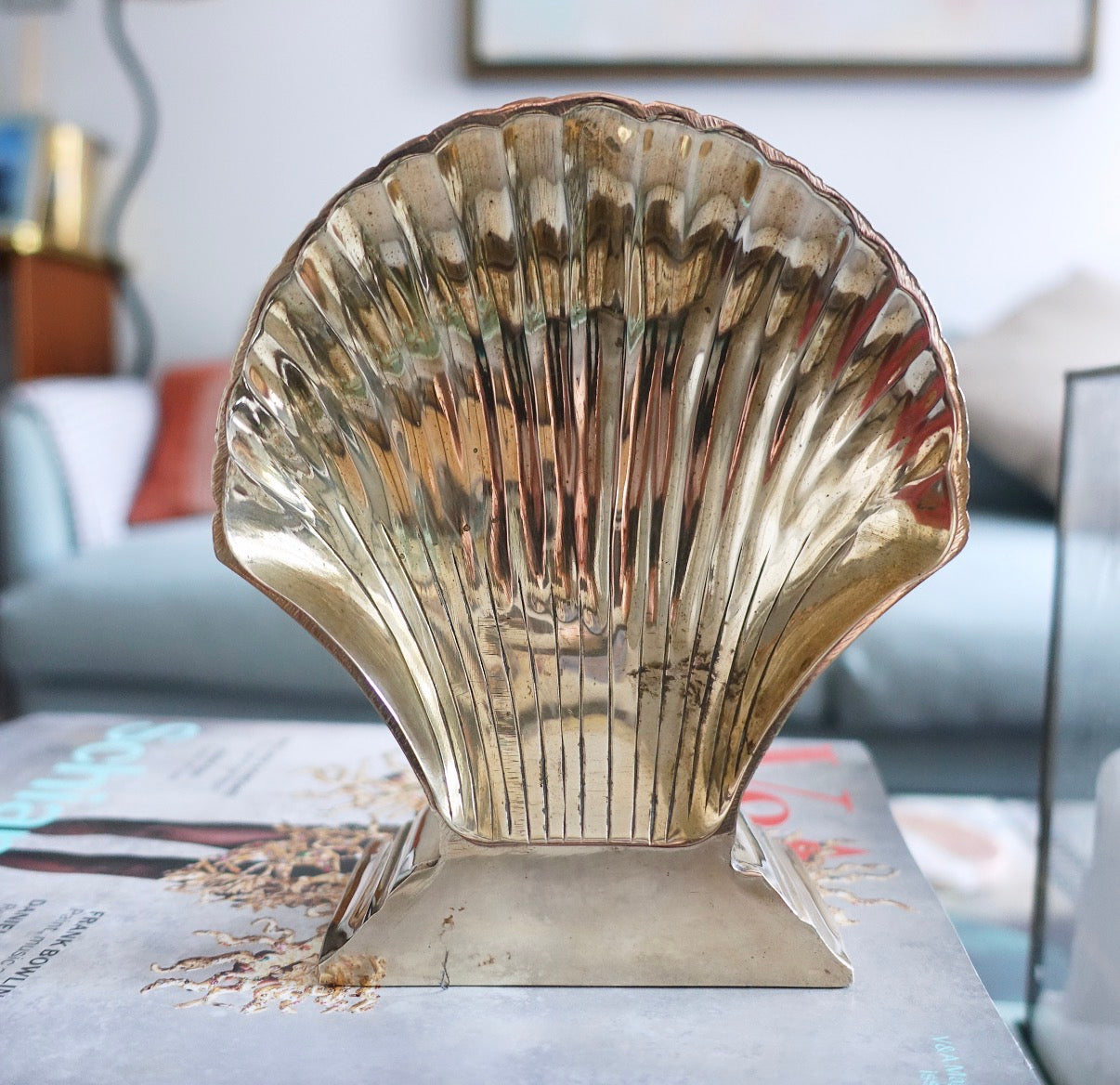 Single scallop shell bookend