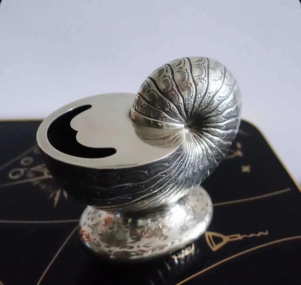 Brass nautilus shell