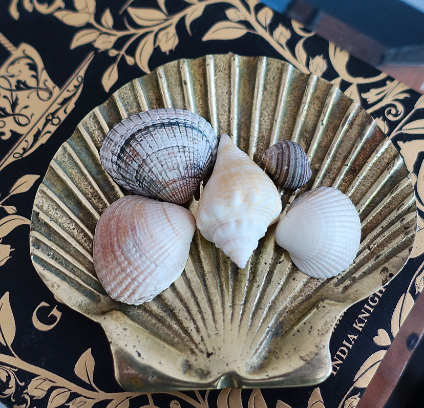 Brass scallop shell dish