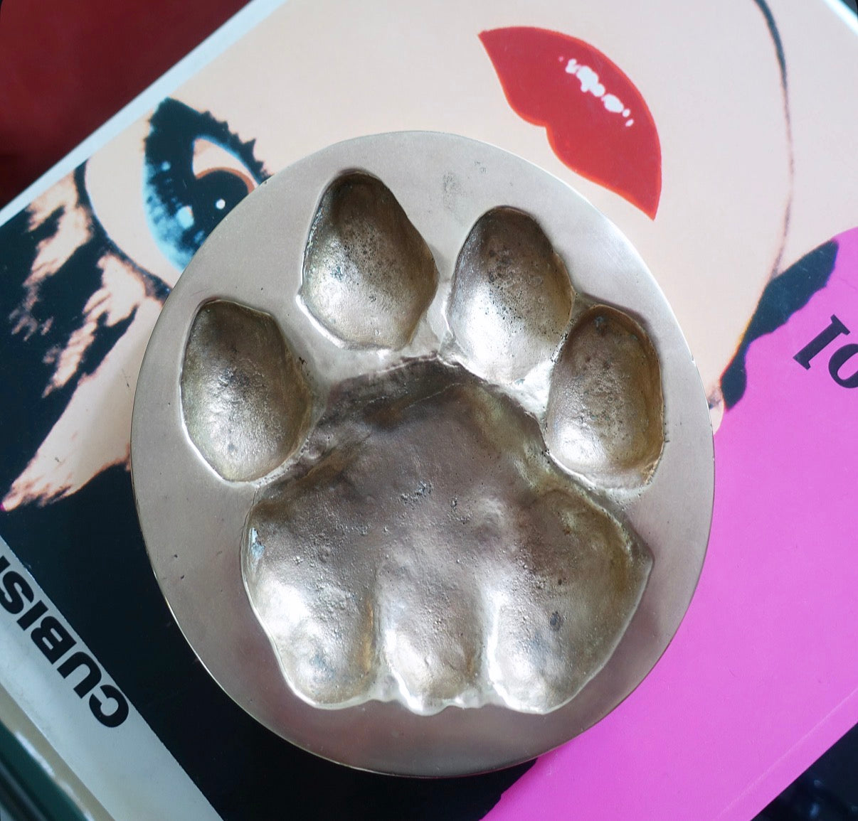 Brass cast lion paw