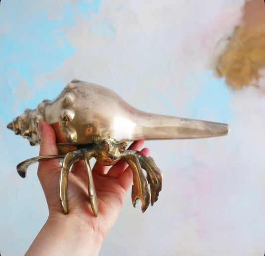Brass conch shell hermit crab