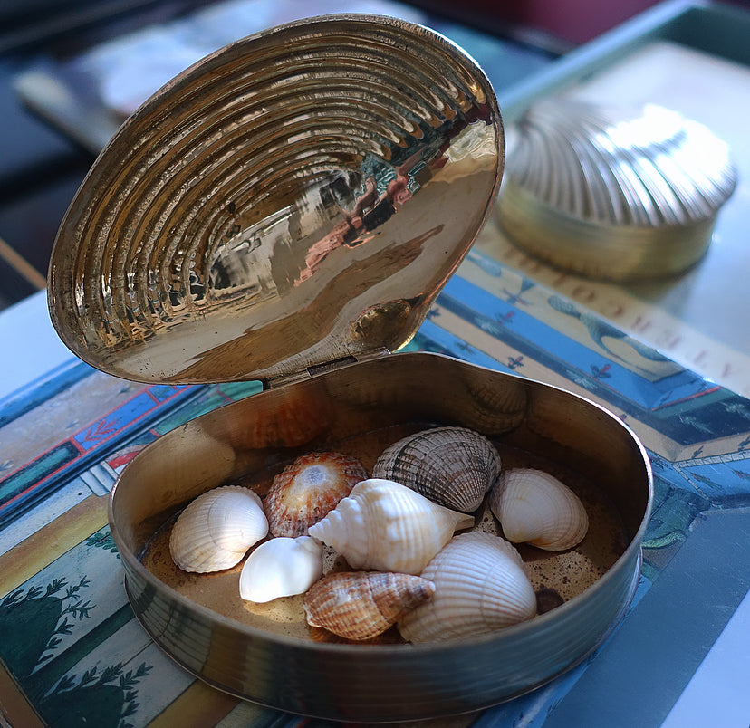 Brass clam shell trinket box