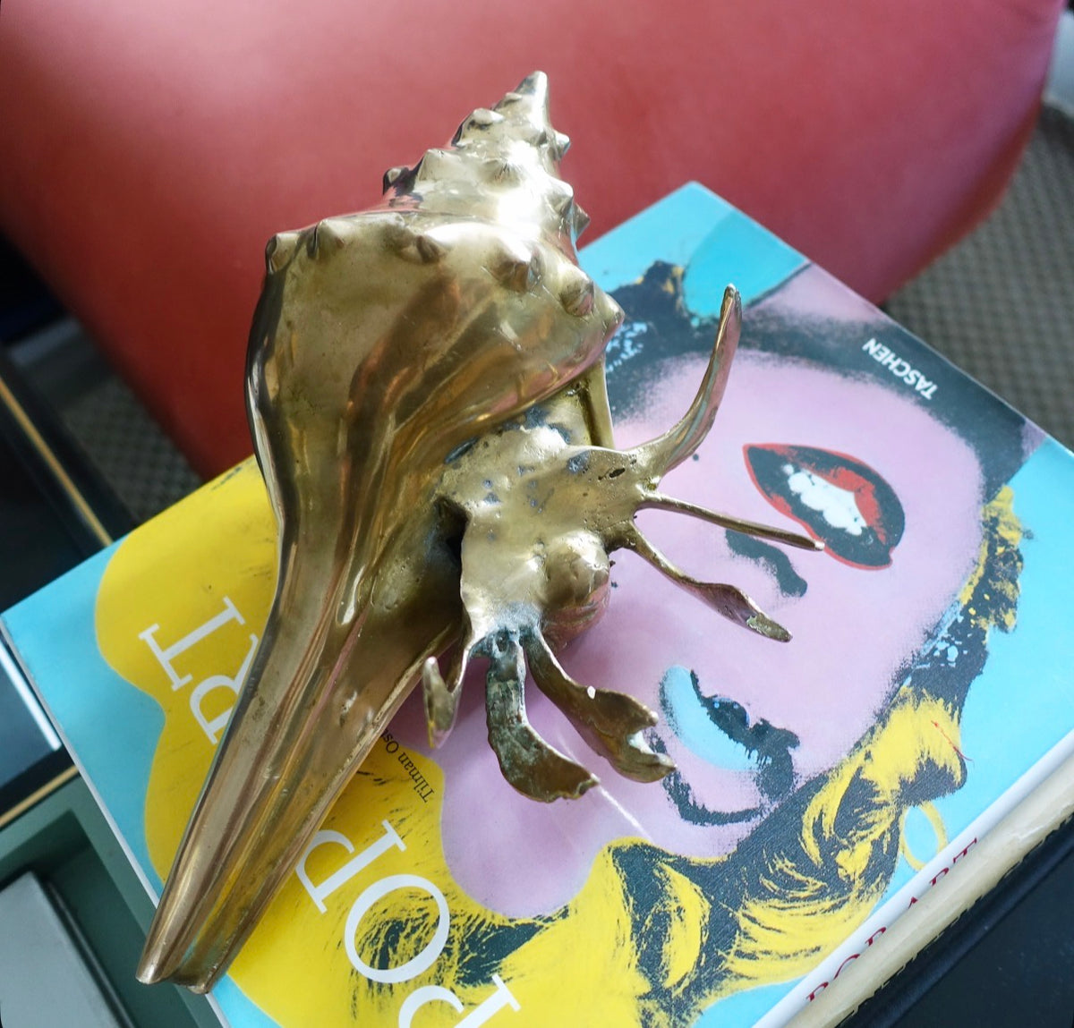 Brass conch shell hermit crab
