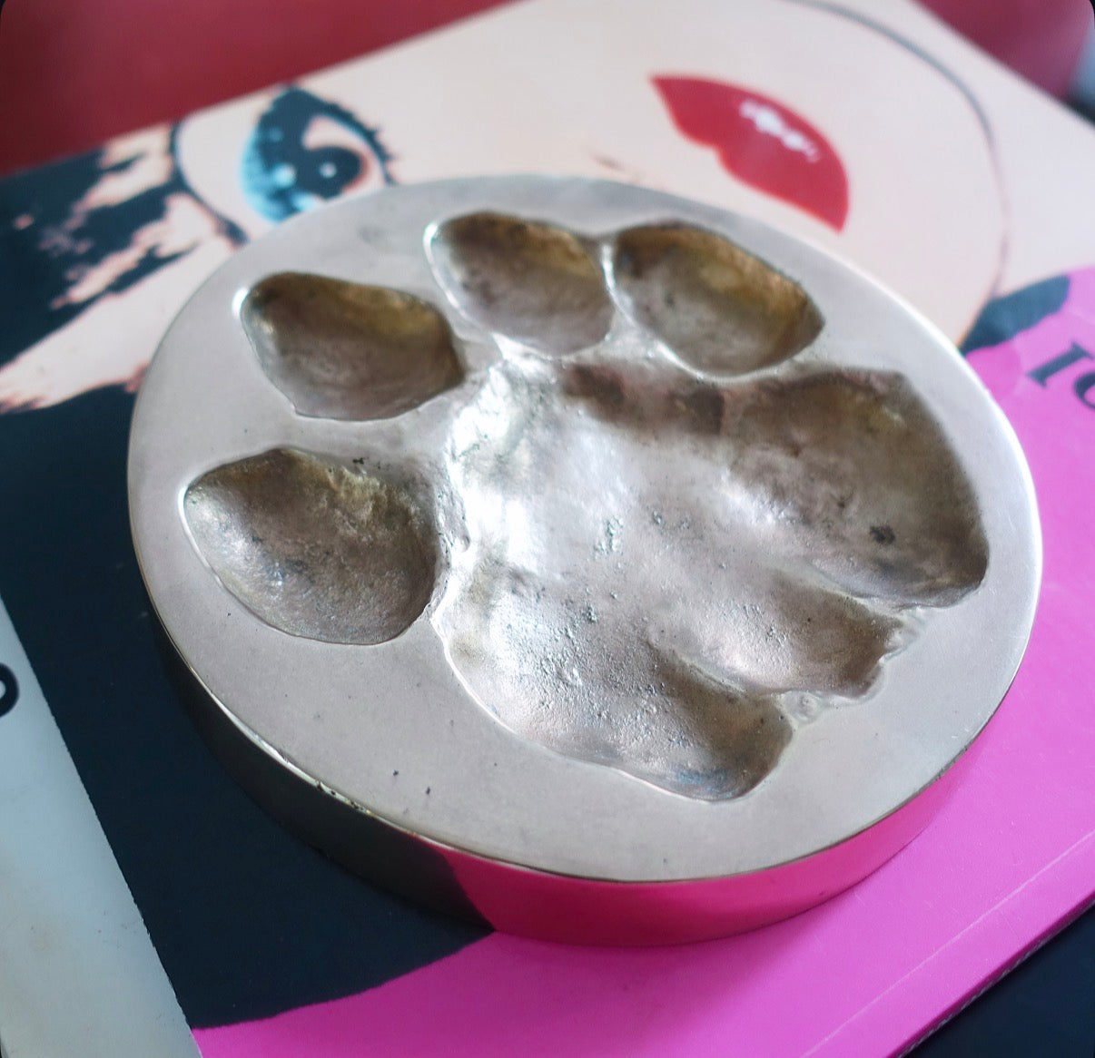 Brass cast lion paw