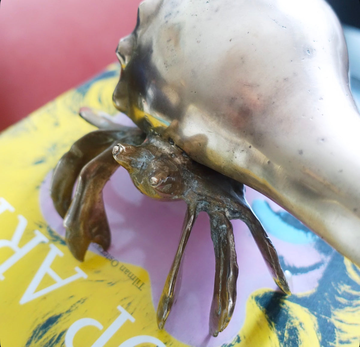 Brass conch shell hermit crab