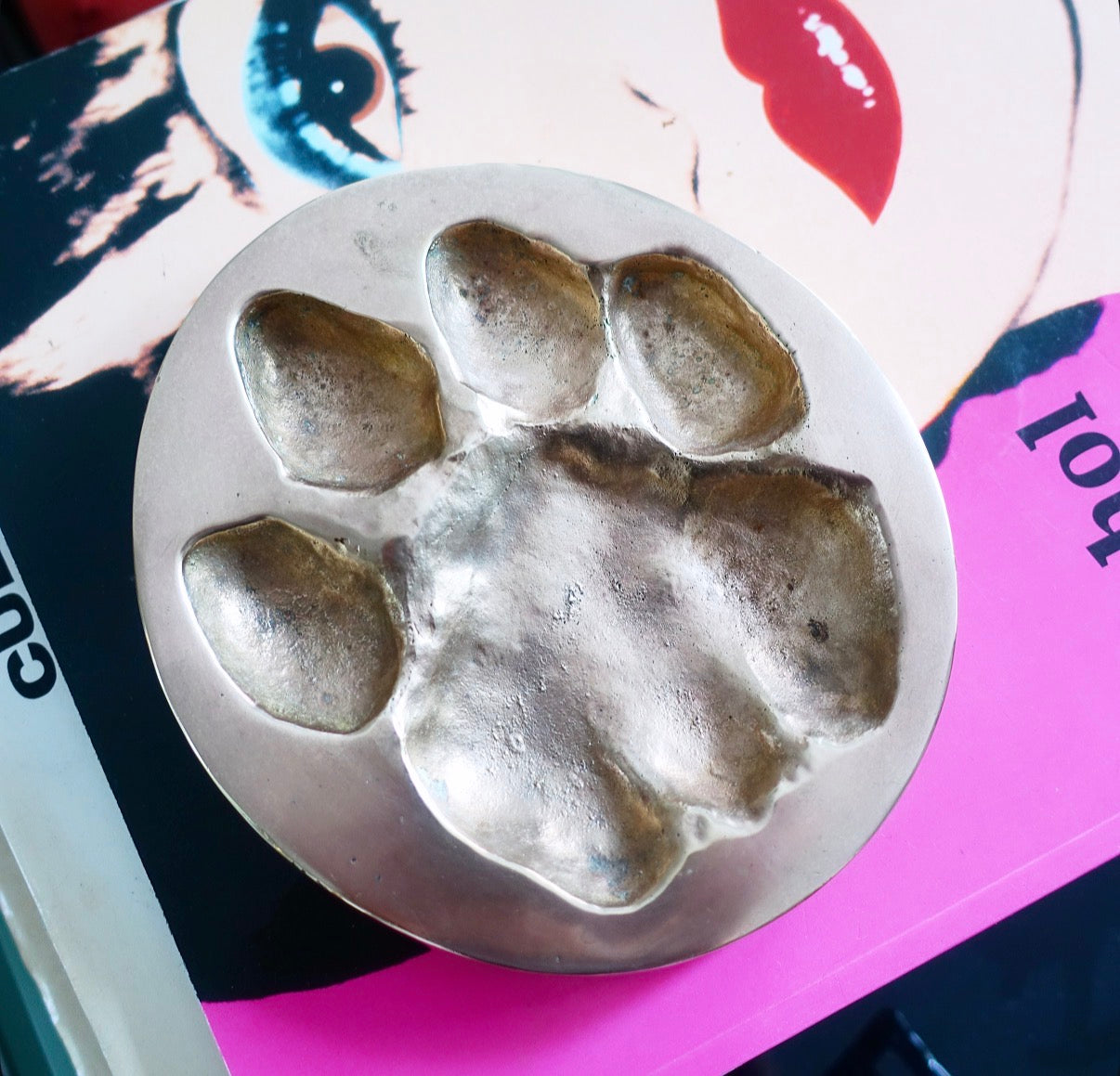 Brass cast lion paw