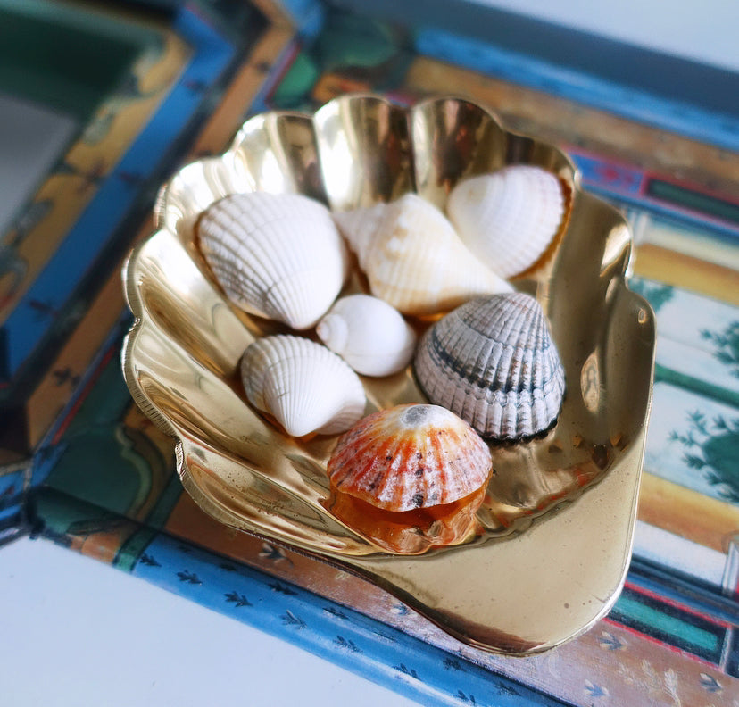 Brass Scallop Shell Trinket Dish