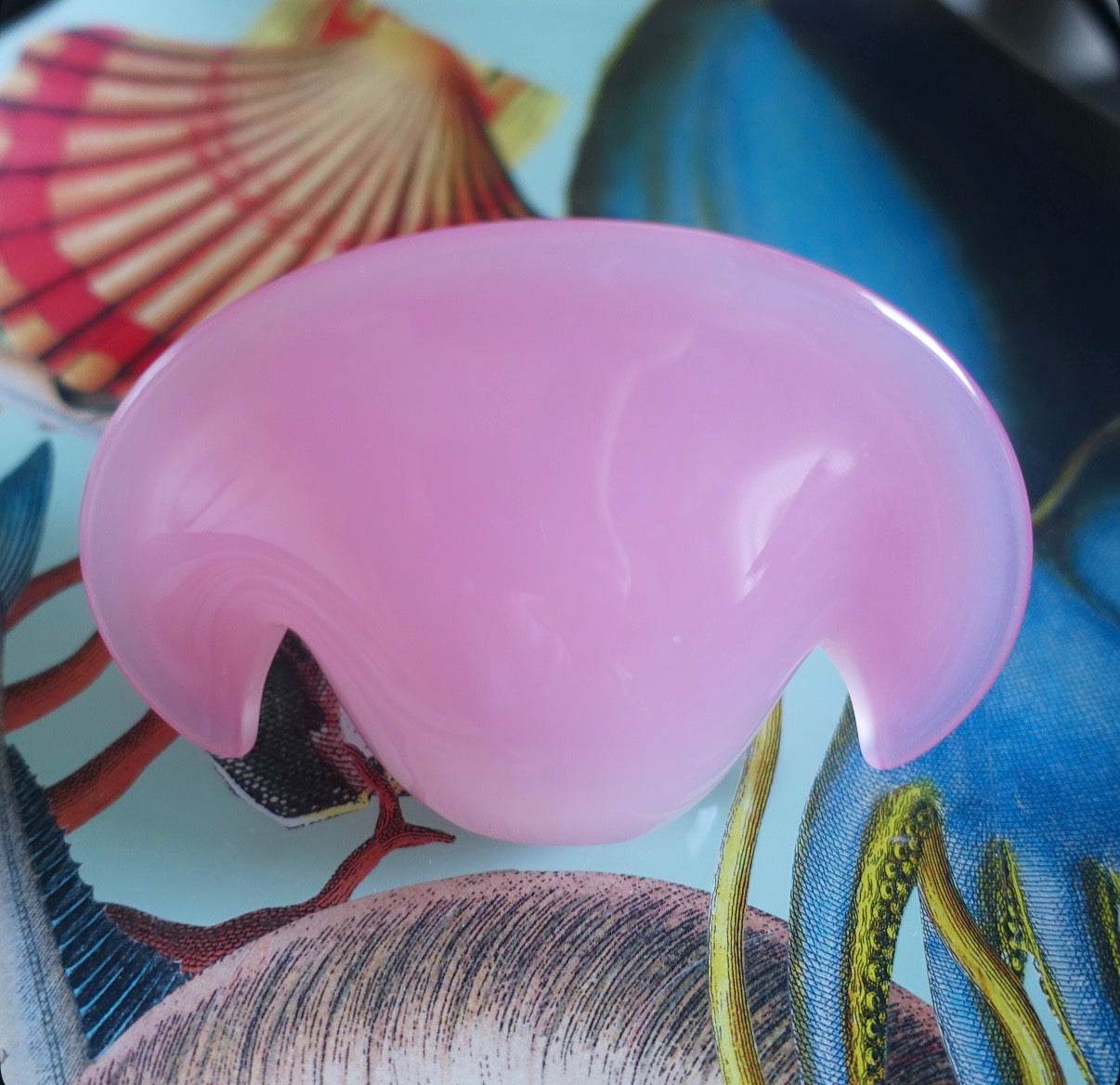 Murano glass clam shell with pearl