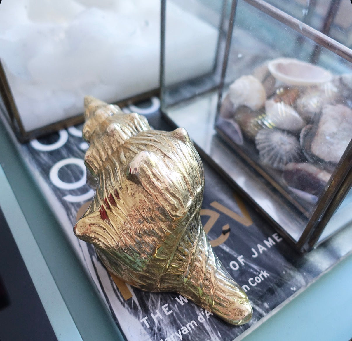 Brass conch shell paperweight