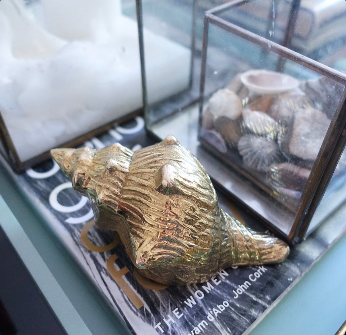 Brass conch shell paperweight