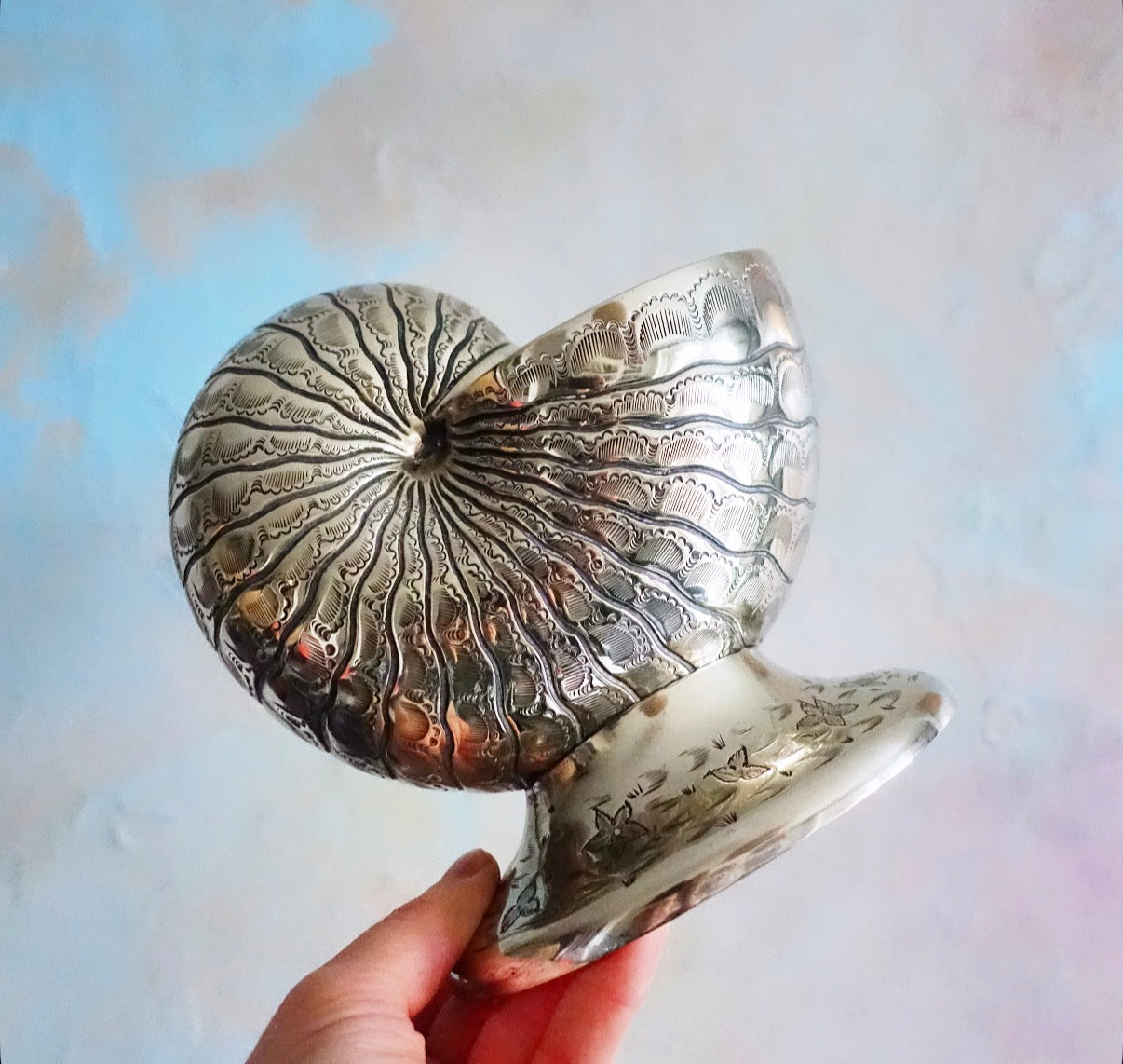 Brass nautilus shell