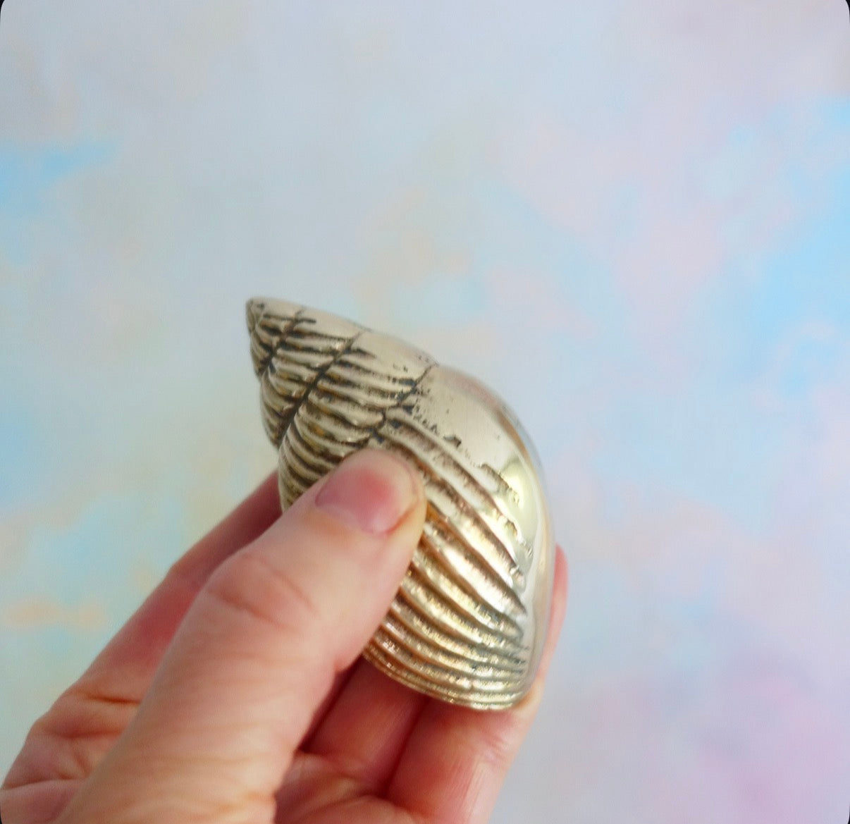 Small brass conch shell paperweight