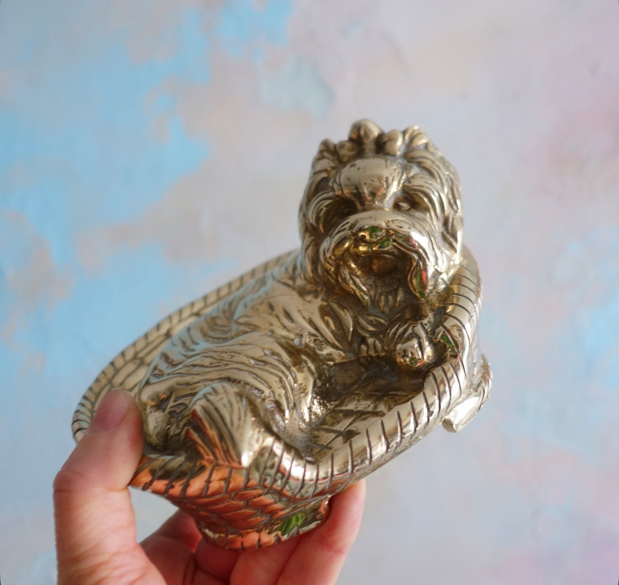 Brass terrier